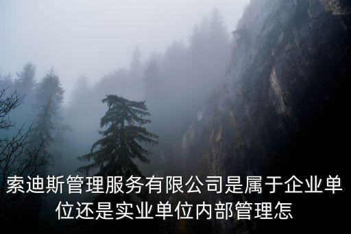 索迪斯管理服務有限公司是屬于企業單位還是實業單位內部管理怎