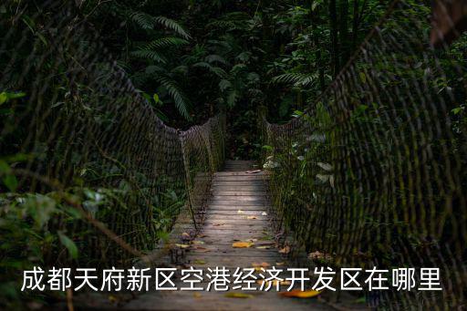 成都天府新區空港經濟開發區在哪里