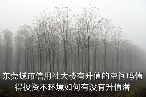 東莞城市信用社大樓有升值的空間嗎值得投資不環境如何有沒有升值潛
