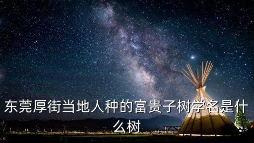 東莞很多樹，在東莞東城綠化帶看見一棵樹結了很多這種東西到底是什么樹