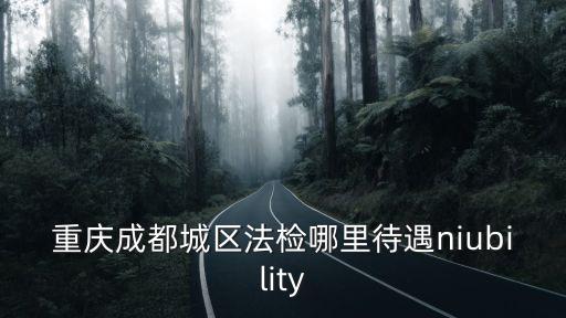 重慶成都城區(qū)法檢哪里待遇niubility