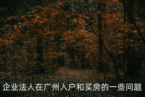 企業(yè)法人在廣州入戶和買房的一些問題