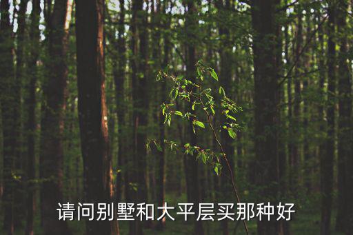 請問別墅和大平層買那種好