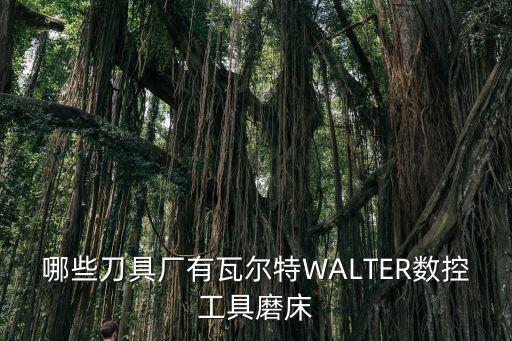 哪些刀具廠有瓦爾特WALTER數(shù)控工具磨床