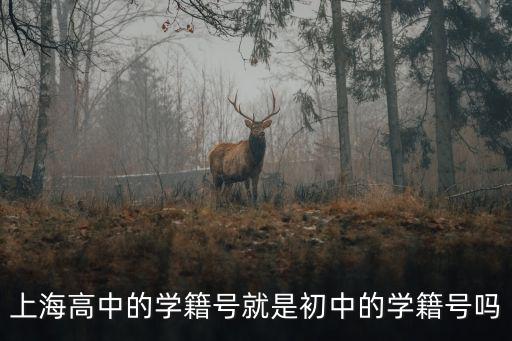 上海高中的學(xué)籍號就是初中的學(xué)籍號嗎