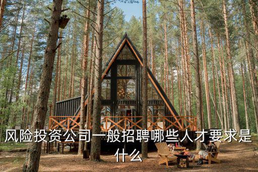 風(fēng)險(xiǎn)投資公司一般招聘哪些人才要求是什么