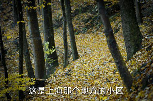 這是上海那個地方的小區