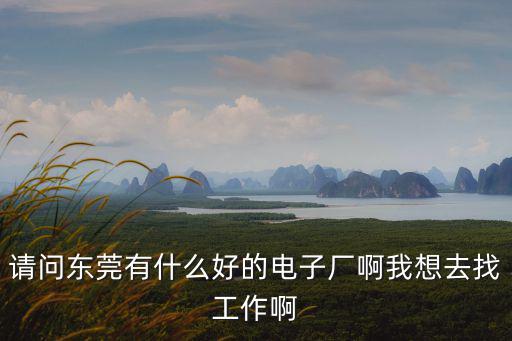 東莞鑫好源電子廠，請問大家東莞長安鎮沙頭村有沒有什么好的電子廠啊