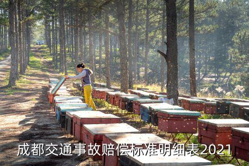 成都市車禍死亡賠償標(biāo)準(zhǔn)，成都交通事故賠償標(biāo)準(zhǔn)明細(xì)表2021