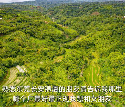 熟悉東莞長安錦廈的朋友請告訴我那里哪個廠最好最正規(guī)我想和女朋友