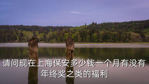 上海市保安服務總公司年終獎，請問現在上海保安多少錢一個月有沒有年終獎之類的福利