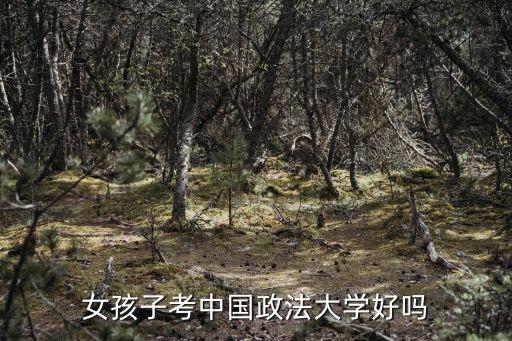 女孩子考中國政法大學好嗎