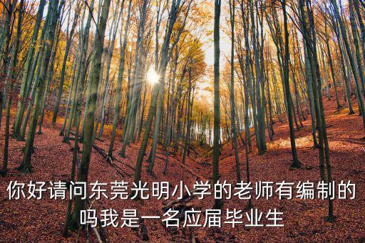 你好請問東莞光明小學的老師有編制的嗎我是一名應屆畢業(yè)生