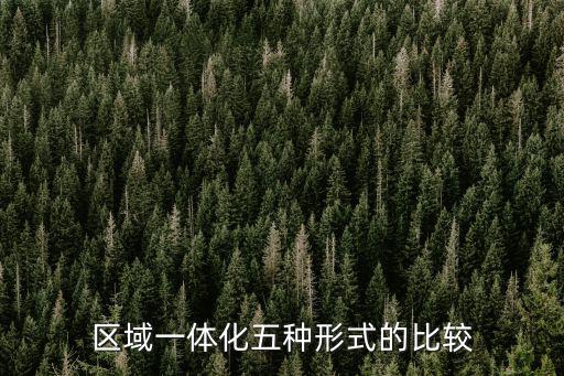 上海市環太平洋區域經濟研究中心，上海有哪些國際性的NGO