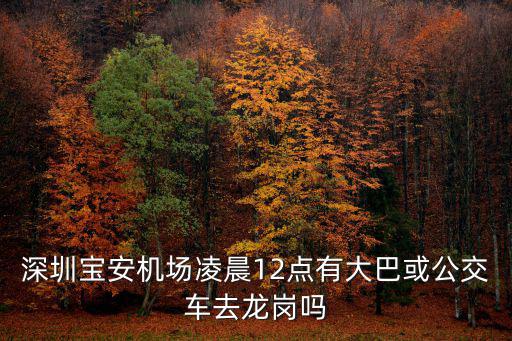 深圳寶安機場凌晨12點有大巴或公交車去龍崗嗎