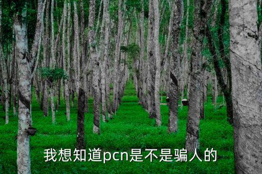 深圳市明華網(wǎng)絡(luò)通信有限公司，WAPI具體解釋