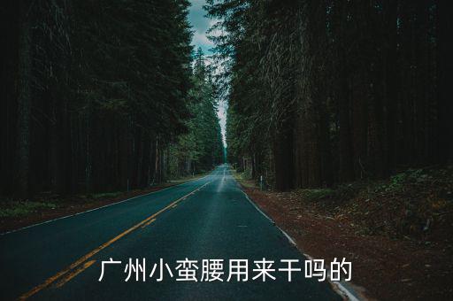 廣州城投工程部張子龍，劉得華演張子龍的那部電視叫什么