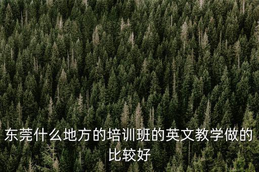 東莞什么地方的培訓(xùn)班的英文教學(xué)做的比較好