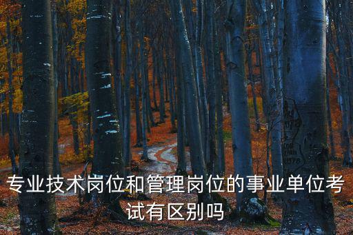 專業技術崗位和管理崗位的事業單位考試有區別嗎