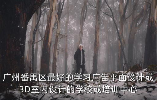 廣州番禺區最好的學習廣告平面設計或3D室內設計的學校或培訓中心