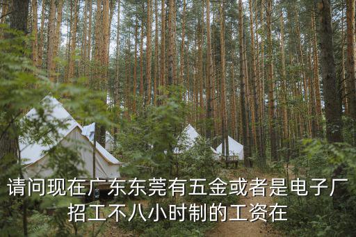 東莞市福欣五金有限公司招聘，請問現在廣東東莞有五金或者是電子廠招工不八小時制的工資在