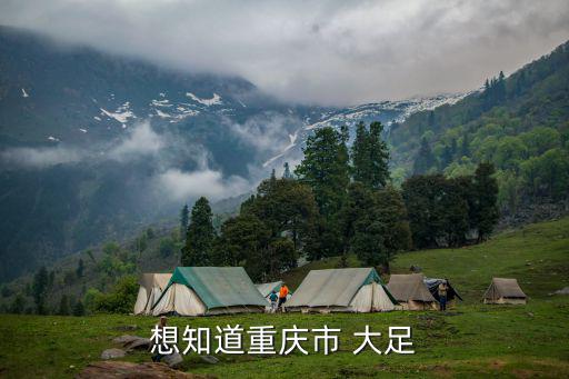 重慶市大足水務(wù)局百度百科，想知道重慶市 大足