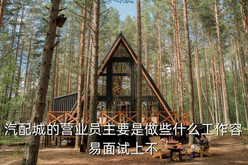 汽配城的營業員主要是做些什么工作容易面試上不