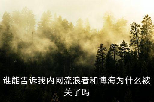 誰能告訴我內(nèi)網(wǎng)流浪者和博海為什么被關(guān)了嗎