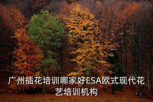 廣州插花學(xué)校都有哪些，廣州插花培訓(xùn)哪家好ESA歐式現(xiàn)代花藝培訓(xùn)機(jī)構(gòu)