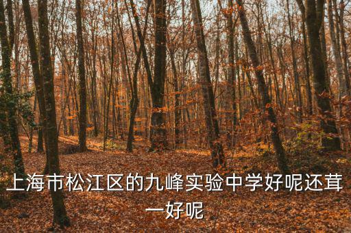 上海市松江區的九峰實驗中學好呢還茸一好呢