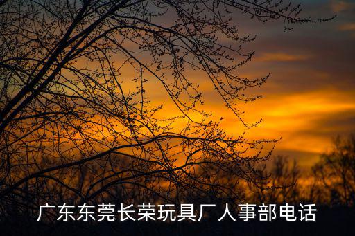 廣東東莞長(zhǎng)榮玩具廠人事部電話