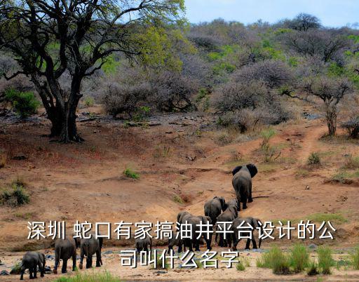 深圳良馬設計， 深圳 蛇口有家搞油井平臺設計的公司叫什么名字