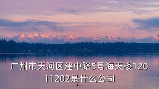 廣州市天河區(qū)建中路5號海天樓12011202是什么公司