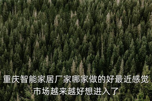 重慶智能家居廠家哪家做的好最近感覺市場越來越好想進(jìn)入了