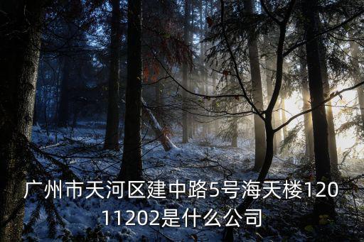 廣州市天河區(qū)建中路5號海天樓12011202是什么公司