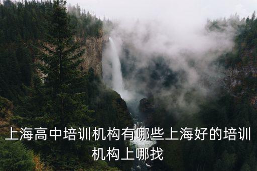 上海高中培訓機構有哪些上海好的培訓機構上哪找