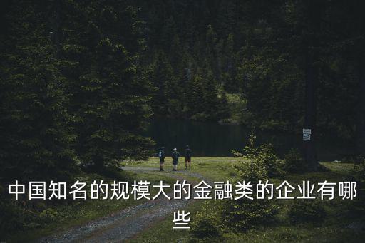中國知名的規模大的金融類的企業有哪些
