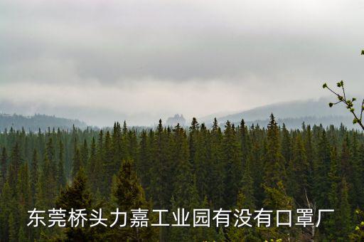東莞橋頭力嘉工業(yè)園有沒有口罩廠