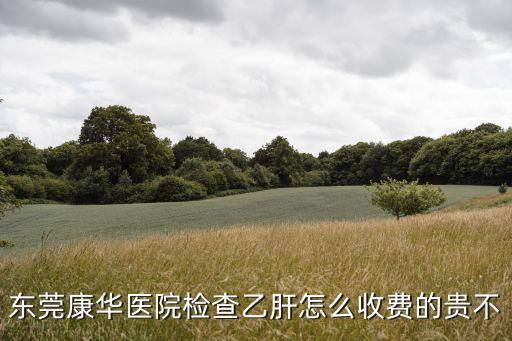 東莞康華醫院貴賓門診是怎樣收費的，東莞康華醫院婦科