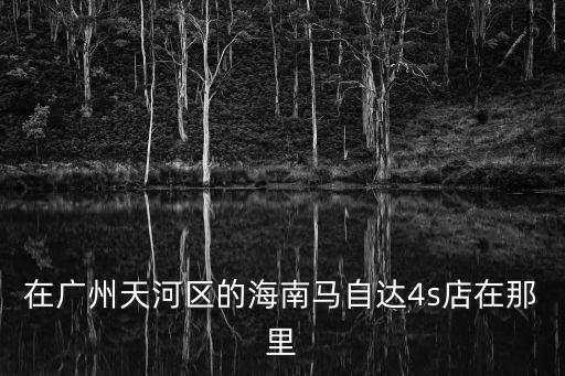 在廣州天河區的海南馬自達4s店在那里