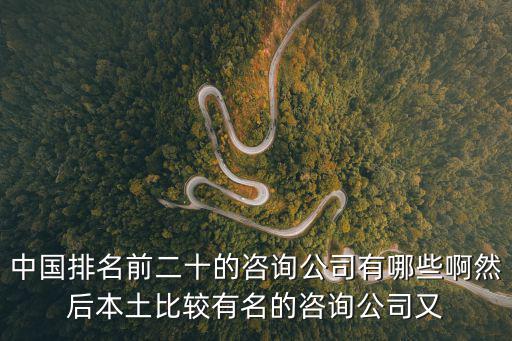 中國排名前二十的咨詢公司有哪些啊然后本土比較有名的咨詢公司又