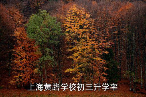 上海市黃路中心小學(xué)，上海黃路學(xué)校初三升學(xué)率