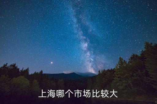 上海哪個市場比較大