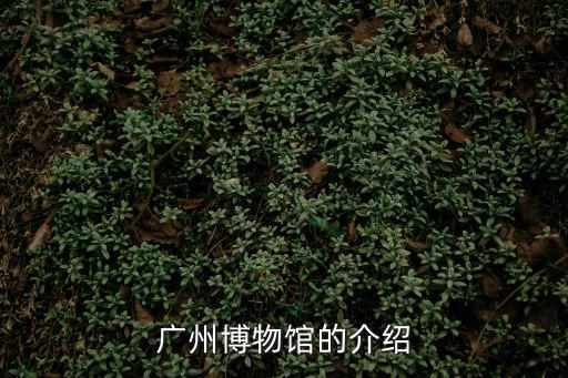 廣州博物館的介紹
