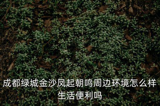 成都綠城金沙鳳起朝鳴周邊環(huán)境怎么樣生活便利嗎