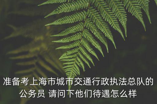 上海市城管局怎么樣，上海城管學院怎么樣
