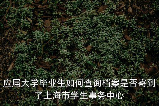 應屆大學畢業生如何查詢檔案是否寄到了上海市學生事務中心