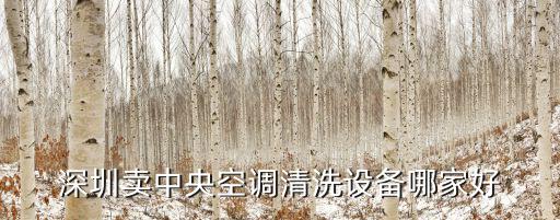 深圳清洗設(shè)備，深圳做的好的超聲波清洗機(jī)有哪家是值得信賴的