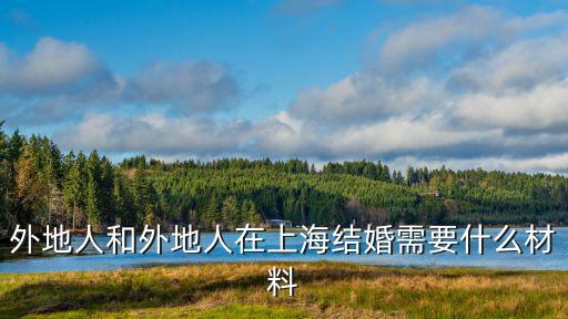 外地人和外地人在上海結婚需要什么材料