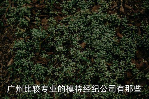 廣州辰昊文化發展有限公司，廣州比較專業的模特經紀公司有那些